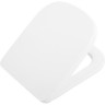 Сиденье для унитаза с микролифтом BELBAGNO ALBANO BB120SC