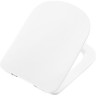 Сиденье для унитаза с микролифтом BELBAGNO PRADO BB10150SC